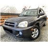 Image 1 : A11 -- 2005 HYUNDAI SANTE FE, GREY, 254894 MILES