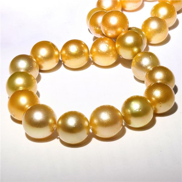 12MM to 14MM GOLDEN South Sea Cultured Pearl Necklace with 14K Yellow Gold Clasp