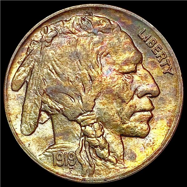 1919 Buffalo Nickel CHOICE BU