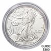 Image 1 : 2013-W Silver Eagle