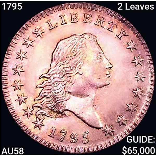 1795 2 Leaves Flowing Hair Half Dollar CHOICE AU