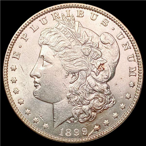 1899 Morgan Silver Dollar UNCIRCULATED