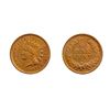 Image 5 : [7]1870-1919 Indian Head/Wheat Cents & 2C Coin