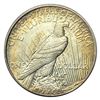 Image 2 : 1921 Silver Peace Dollar