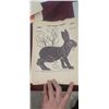 Image 2 : 40 WESTERN/WINCHESTER VINTAGE JACK RABIT TARGETS