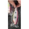 Image 7 : THREE 6" DOUBLE TREBLE HOOK DIVING LURES - WEIGHTED TO HELP MIMIC SWIM PATTERNS OF PREY - PLEASE SEE