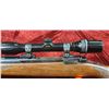 Image 22 : RUGER M77 300WIN MAG BOLT ACTION COMES WITH CHIEF VI 2.5-8 X32 SCOPE - SN 78-06857