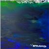 Image 2 : Untitled by Wyland Original