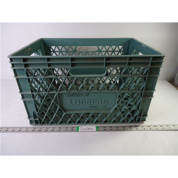 Large Green Storage Crate 19"x13"
