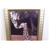 Image 3 : Picture Mom and Baby Giraffe- (26''x 36'')