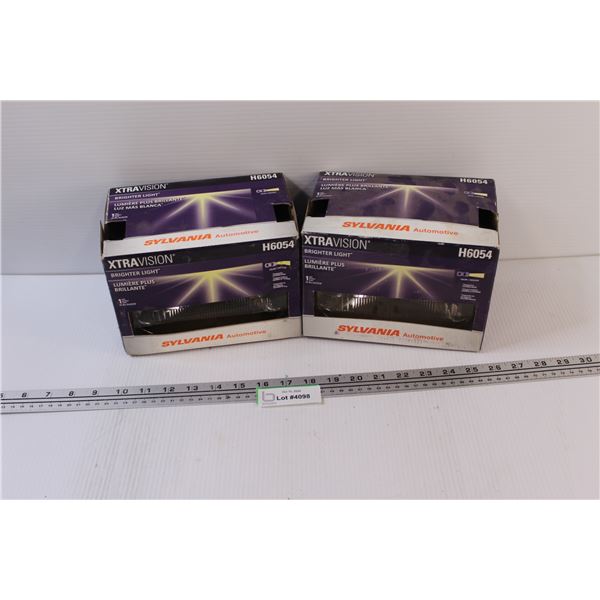 (2) Sylvania Bright Light Bulbs - H6054 - as is