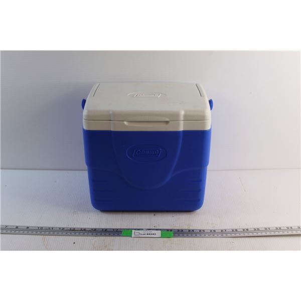 Coleman Cooler 11'' x 12''