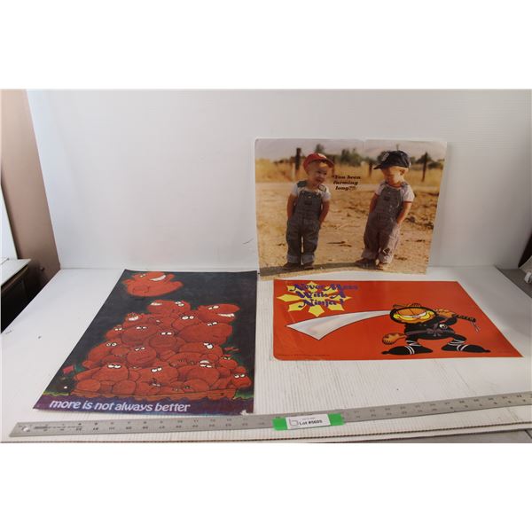 (3) Small Posters - More is Not Always Better, Farming, Garfield