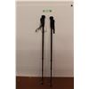Image 1 : Hammers Walking Sticks w/Ice Picks