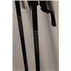 Image 2 : Hammers Walking Sticks w/Ice Picks