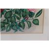 Image 3 : Roses Painting in Frame - 15.5" x 12"
