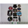 Image 1 : (2) Canadian Forces Cap Badges and (11) USA Military Patches