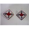 Image 2 : (2) Canadian Forces Cap Badges and (11) USA Military Patches