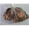 Image 2 : Bag of Assorted Pennies-uncounted