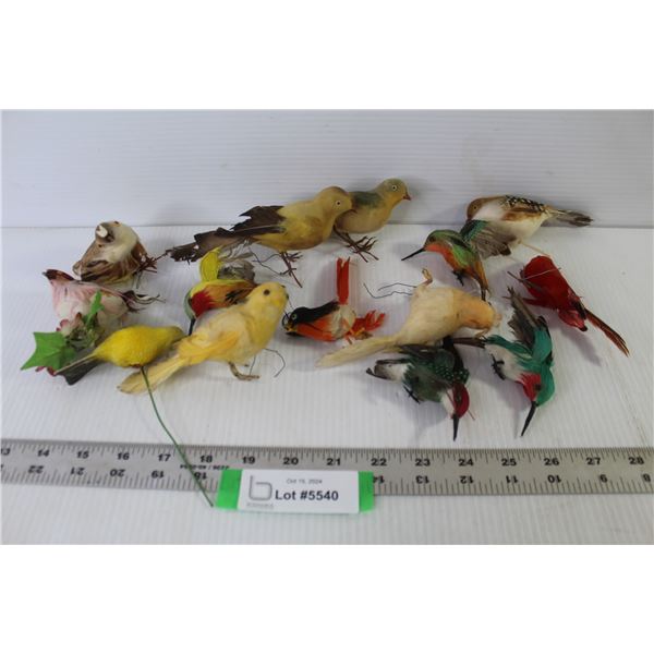 (15) Plastic Feathered Birds