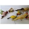 Image 2 : (15) Plastic Feathered Birds