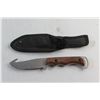Image 6 : Hunting Knife with Sheath and Decorative Modern Art Knife