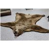 Image 2 : Bear Rug