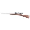 Image 2 : Winchester 70 'Varmint' .243 Win SN: 563472