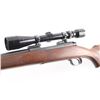 Image 4 : Winchester 70 'Varmint' .243 Win SN: 563472
