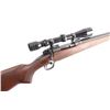 Image 6 : Winchester 70 'Varmint' .243 Win SN: 563472