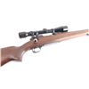 Image 7 : Winchester 70 'Varmint' .243 Win SN: 563472