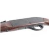 Image 3 : Remington Nylon 66 22 LR SN: 2306252