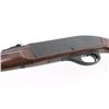 Image 4 : Remington Nylon 66 .22 LR SN: A2239885