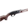 Image 12 : Remington Nylon 66 22 Long Rifle NVSN