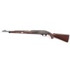 Image 2 : Remington Nylon 66 22 Long Rifle NVSN