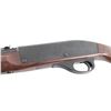 Image 3 : Remington Nylon 66 22 Long Rifle NVSN