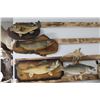 Image 1 : Lot Four Taxidermy Fish