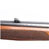 Image 5 : Winchester Model 88 308 Win SN: H245938
