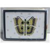 Image 1 : ART BY JOHN PREVOST BUTTERFLY 2021 5" x 7" FRAME