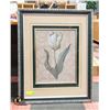 Image 1 : PRINT W. SILVER FRAME, 28” X 34”, LTD ED, TULIP.