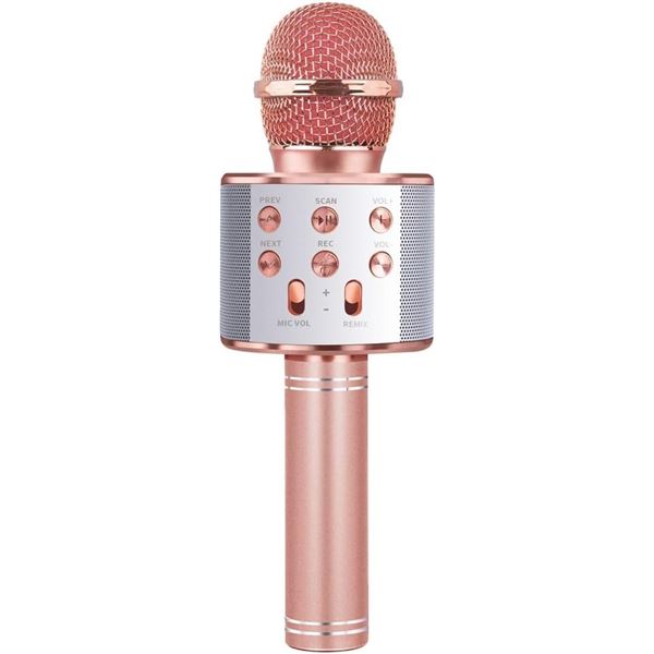 NEW WITH BOX KTV MODEL: WS-858 WIRELESS MICROPHONE