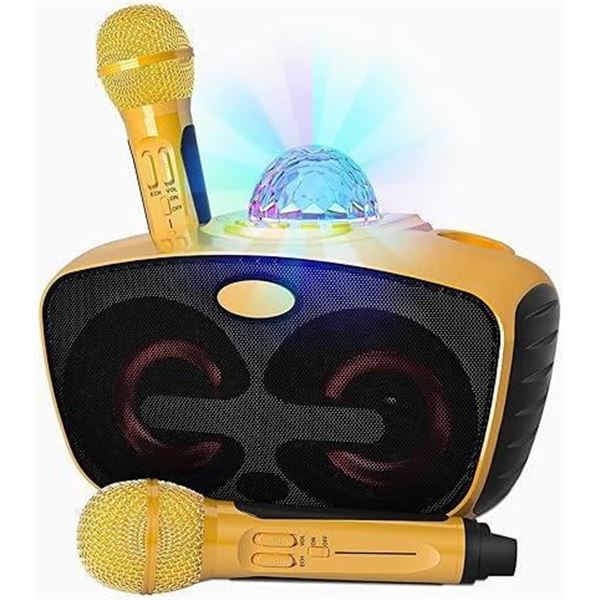 SINWE Bluetooth Karaoke Machine with 2 Wireless Microphones, Portable PA Speaker System with Disco B