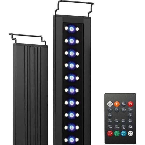 NICREW C10 24/7 LED Aquarium Light for Plants, 12-18 Inches, 10W, Full Spectrum Fish Tank Light with