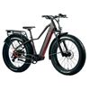 Image 1 : I GO 31 Extreme Fat Tire Electric Bike