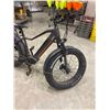 Image 5 : I GO 31 Extreme Fat Tire Electric Bike