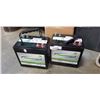 Image 1 : 2 DISCOVER DEEPVOLT 6VOLT AGM BATTERY, MODEL EVGC6A-A