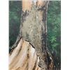 Image 2 : SIGNED PAINTING 43" X 31"