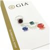 Image 2 : 14k White Gold 5.6 ctw GIA Cushion Rubellite Tourmaline Diamond Halo Cocktail Ri