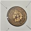 Image 1 : Red 1907 Indian Head Cent