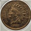 Image 2 : Red 1907 Indian Head Cent